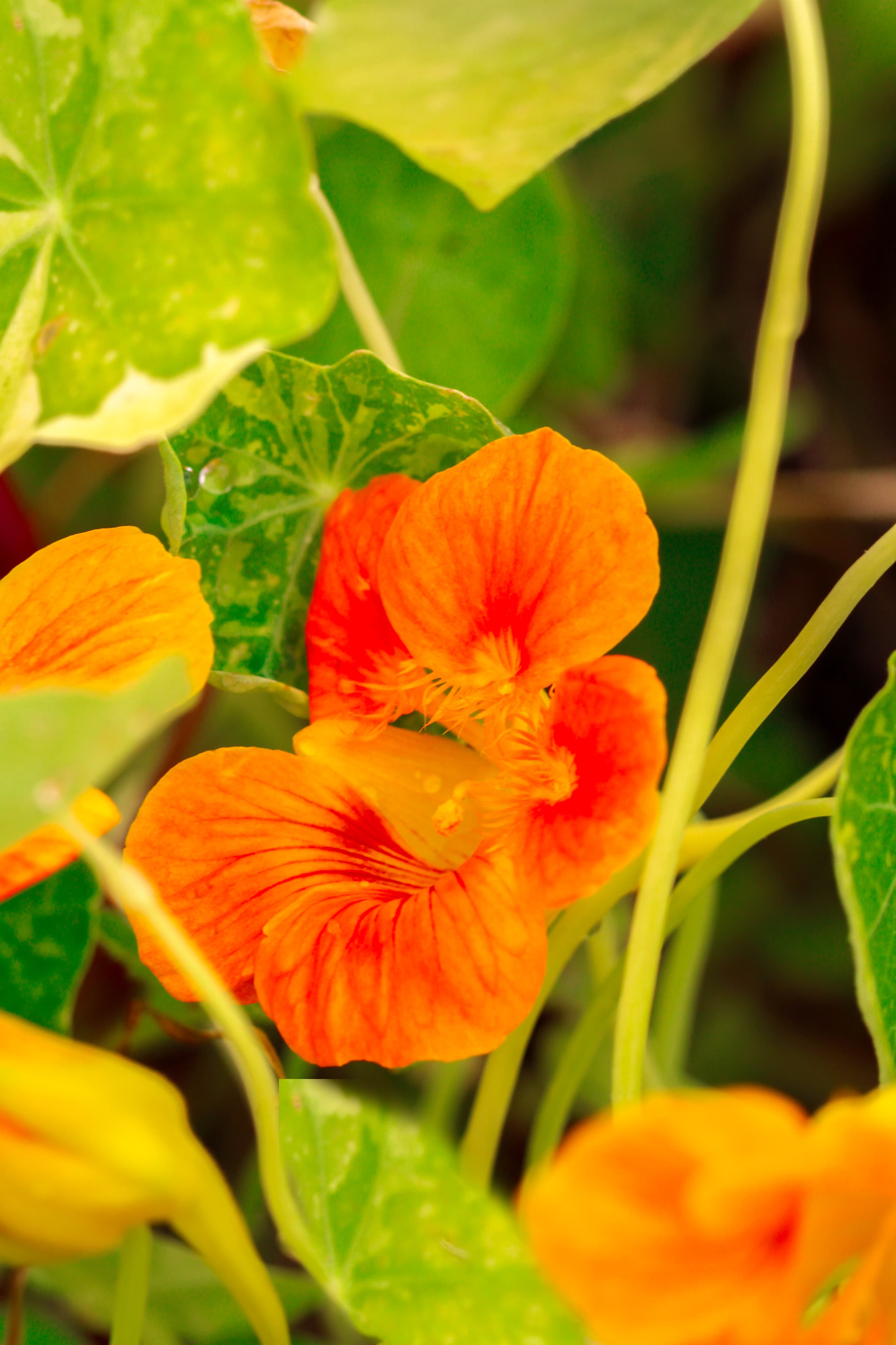 685 3rd Avenue